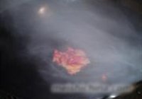 腐乳鸡翼的做法 步骤4
