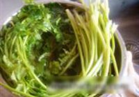 香菜炒豆腐的做法 步骤6