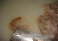 宴客海鲜炸虾花的做法 步骤3