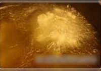 茄汁鲈鱼的做法 步骤7