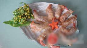 馄饨虾卷