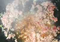 川味麻婆豆腐的做法 步骤8