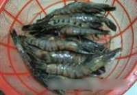 红烧海虾的做法 步骤1