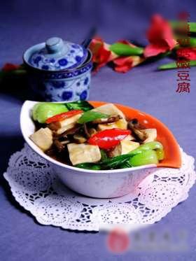 素烧杂菇嫩豆腐