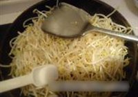 醋溜绿豆芽的做法 步骤5