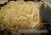 醋溜绿豆芽的做法 步骤3