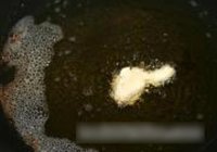 东北锅包肉的做法 步骤9