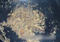 避风塘虾菇的做法 步骤6