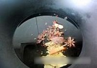 海鲜麻辣香锅的做法 步骤3