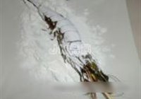 椒盐大虾的做法 步骤8