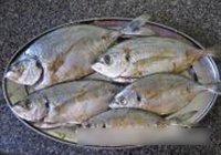 黄豆酱烧海鱼的做法 步骤1