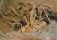 金针菇粉丝鱼头汤的做法 步骤11