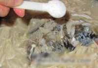 金针菇粉丝鱼头汤的做法 步骤12