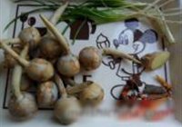 草鱼烧茨菇的做法 步骤1