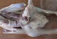 焅大鹅的做法 步骤1