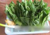 炒油菜海米的做法 步骤1
