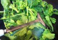 炝炒白油菜的做法 步骤5