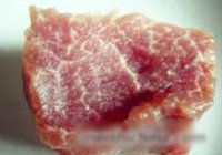 香炸肉排的做法 步骤1