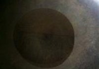 热窝儿鸡的做法 步骤4