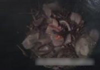 ⳴ 5