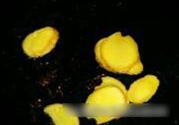 海米烧冬瓜的做法 步骤6