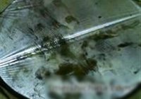 啤酒鹌鹑蛋的做法 步骤8