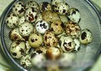啤酒鹌鹑蛋的做法 步骤1
