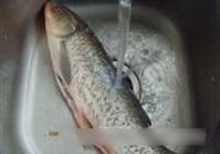 鲜美至极酿竹荪的做法 步骤1