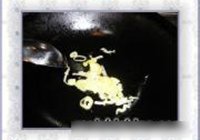海米冬瓜煲的做法 步骤4
