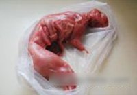 麻辣干煸兔丁的做法 步骤1
