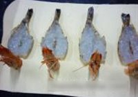 酥皮烤大虾的做法 步骤7
