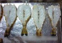 酥皮烤大虾的做法 步骤2