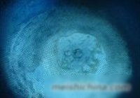 火爆腰花的做法 步骤11
