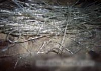猪肉炖粉条的做法 步骤2
