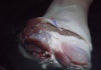 红烧猪肘的做法 步骤2