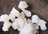 金玉满堂的做法 步骤2