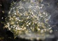 雪菜炒肉的做法 步骤13
