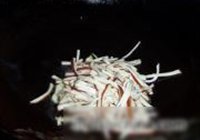 干煸豆干白菜的做法 步骤4