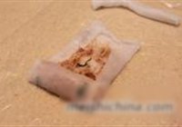 爽口卷粉的做法 步骤12