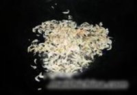 韭菜炒猪血的做法 步骤4