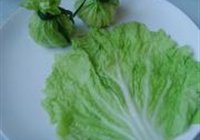 翡翠百财包的做法 步骤8
