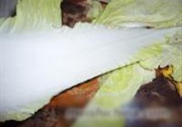 菜包肉的做法 步骤2