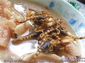 土茯苓炖蝎子