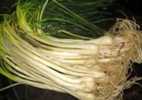 荞头炒湘腊肉的做法 步骤3