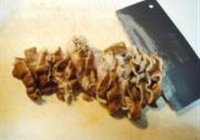 溜干煎肥肠的做法 步骤7