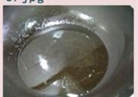 龙井虾仁的做法 步骤3