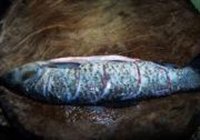 年糕浇汁鱼的做法 步骤2