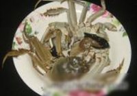 螃蟹煮年糕的做法 步骤3