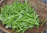 空心菜梗的做法 步骤2