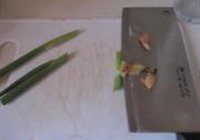 笋干烧排骨的做法 步骤5